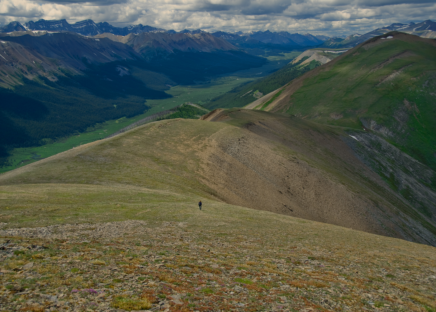 Willmore Wilderness Park, Rocky Mountains, Alberta, Canada